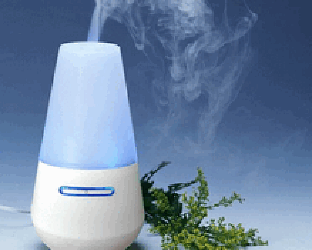 加湿器电源自激振荡型